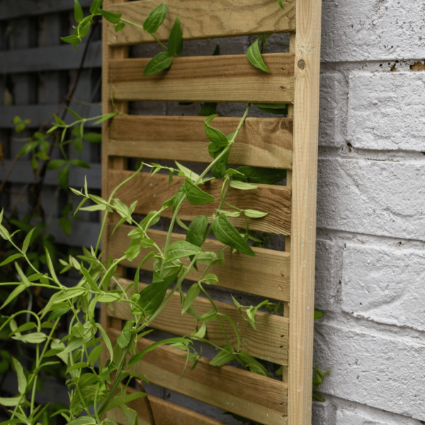 Slatted Trellis 1800mm x 300mm